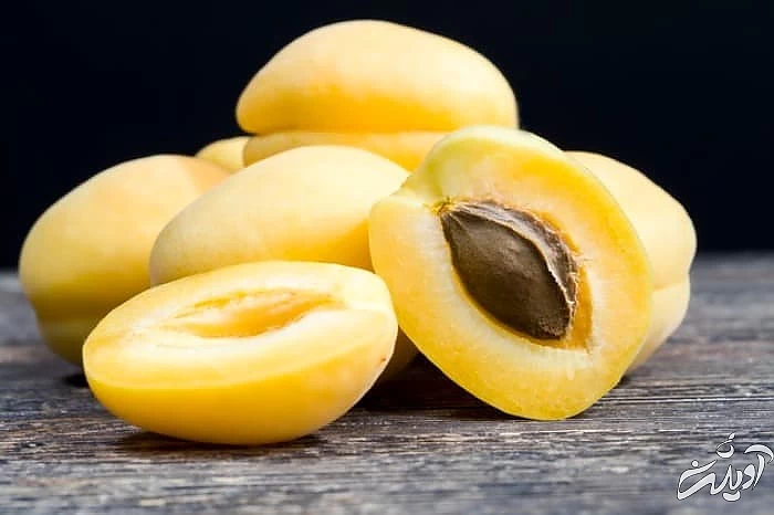 خواص روغن زردآلو برای پوست خواص روغن زردآلو